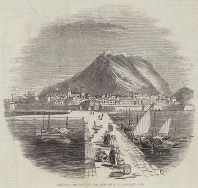 Alicant 作者 弗雷德里克·萨金特